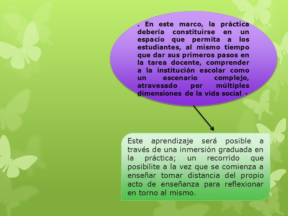 . En este marco, la práctica debería constituirse en un espacio que permita a los estudiantes, al mismo tiempo que dar sus primeros pasos en la tarea docente, comprender a la institución escolar como un escenario complejo, atravesado por múltiples dimensiones de la vida social -