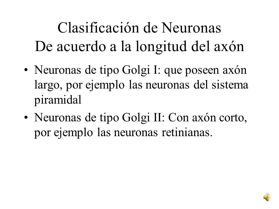 Clasificación de Neuronas De acuerdo a la longitud del axón