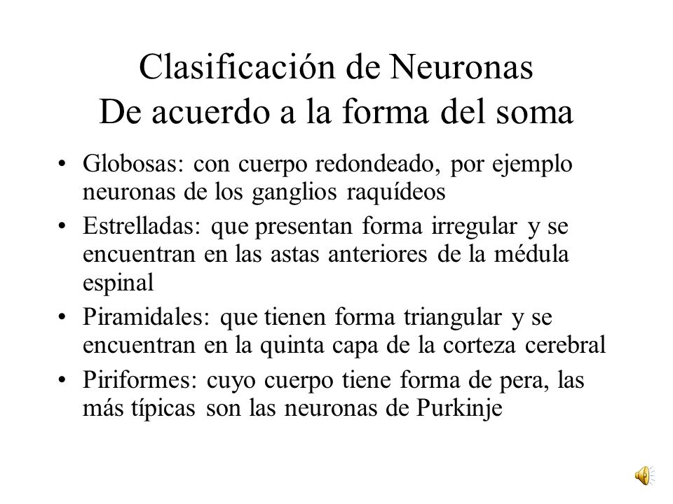 Clasificación de Neuronas De acuerdo a la forma del soma