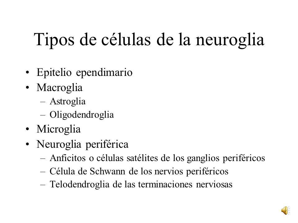 Tipos de células de la neuroglia