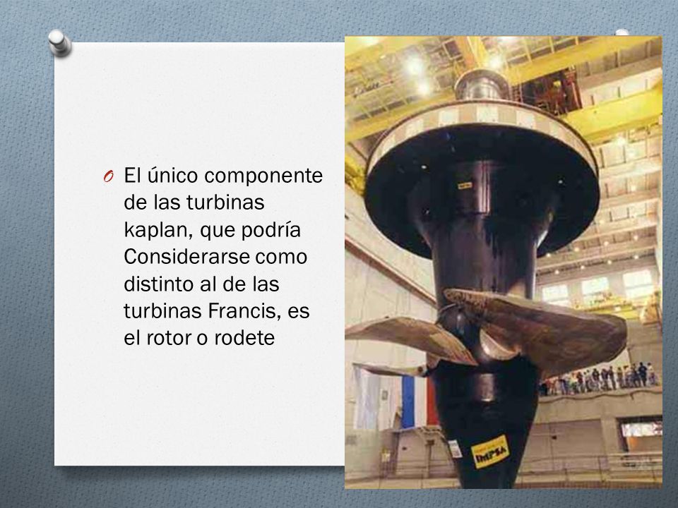 El único componente de las turbinas kaplan, que podría Considerarse como distinto al de las turbinas Francis, es el rotor o rodete