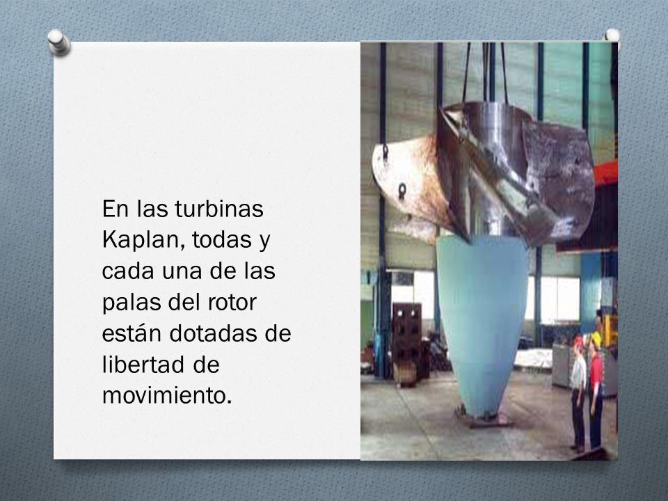 En las turbinas Kaplan, todas y cada una de las palas del rotor están dotadas de libertad de movimiento.