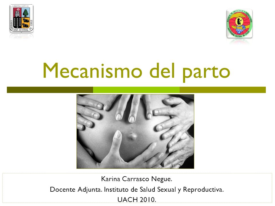 Docente Adjunta. Instituto de Salud Sexual y Reproductiva.