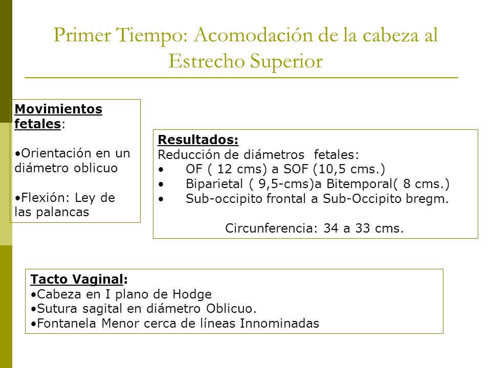 Primer Tiempo: Acomodación de la cabeza al Estrecho Superior