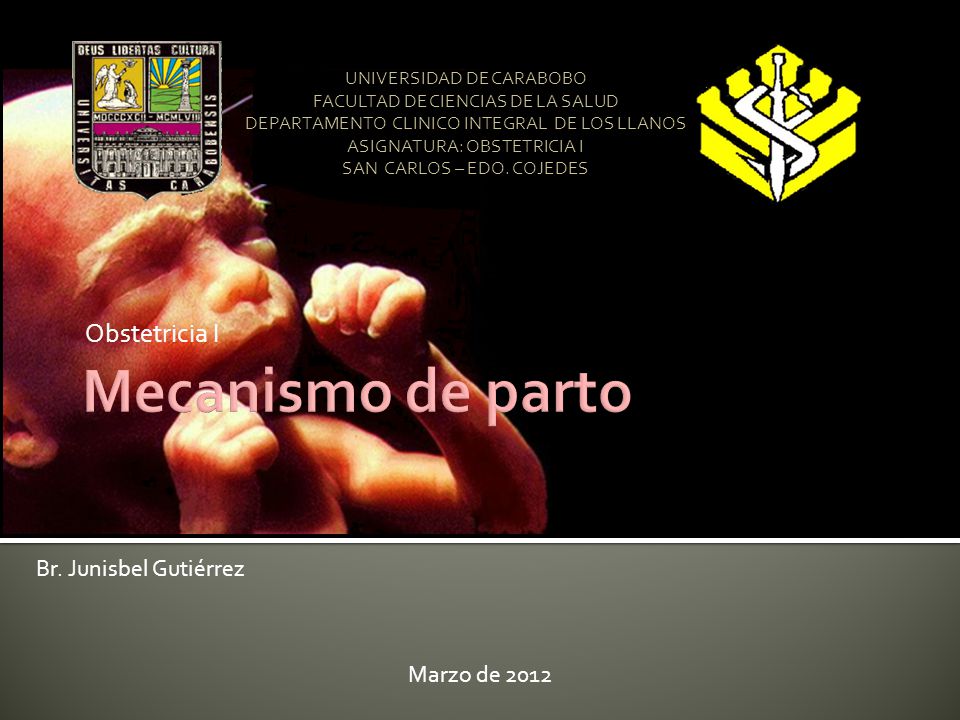 Mecanismo de parto Obstetricia I Br. Junisbel Gutiérrez Marzo de 2012