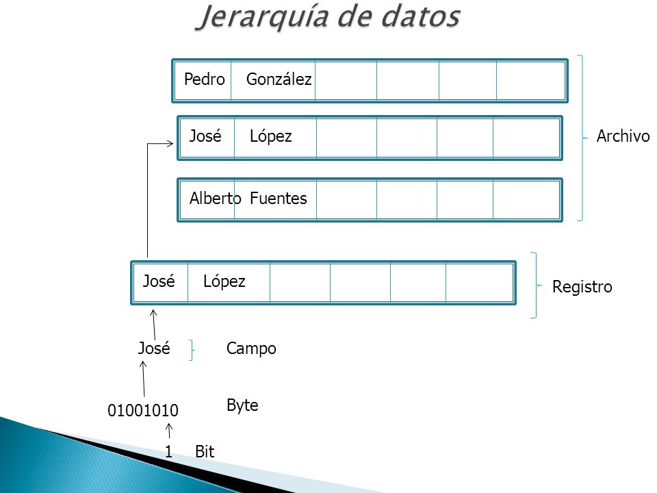 Jerarquía de datos Pedro González José López Archivo Alberto Fuentes