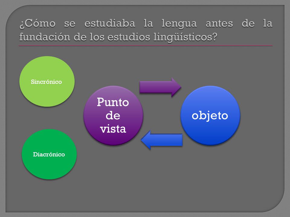 ¿Cómo se estudiaba la lengua antes de la fundación de los estudios lingüísticos
