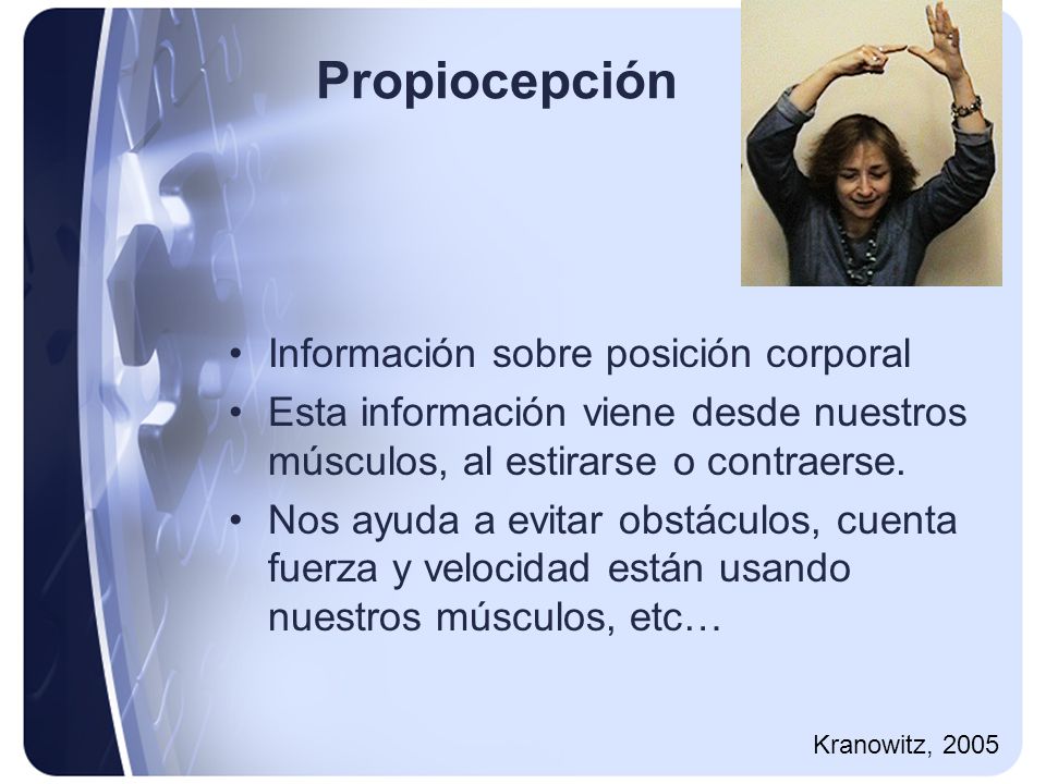 Propiocepción Información sobre posición corporal