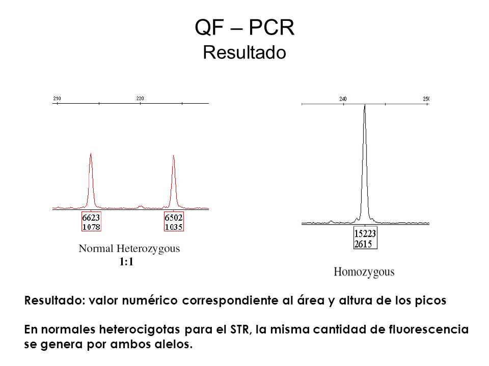QF – PCR Resultado. Resultado: valor numérico correspondiente al área y altura de los picos.