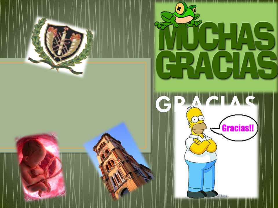 GRACIAS