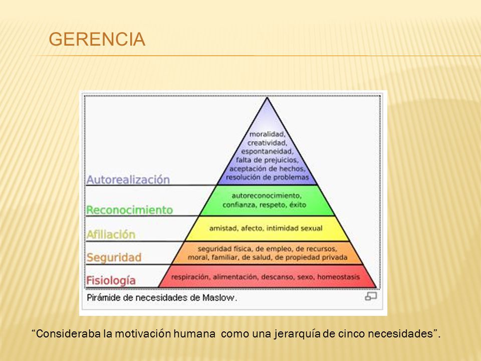 GERENCIA Consideraba la motivación humana como una jerarquía de cinco necesidades .