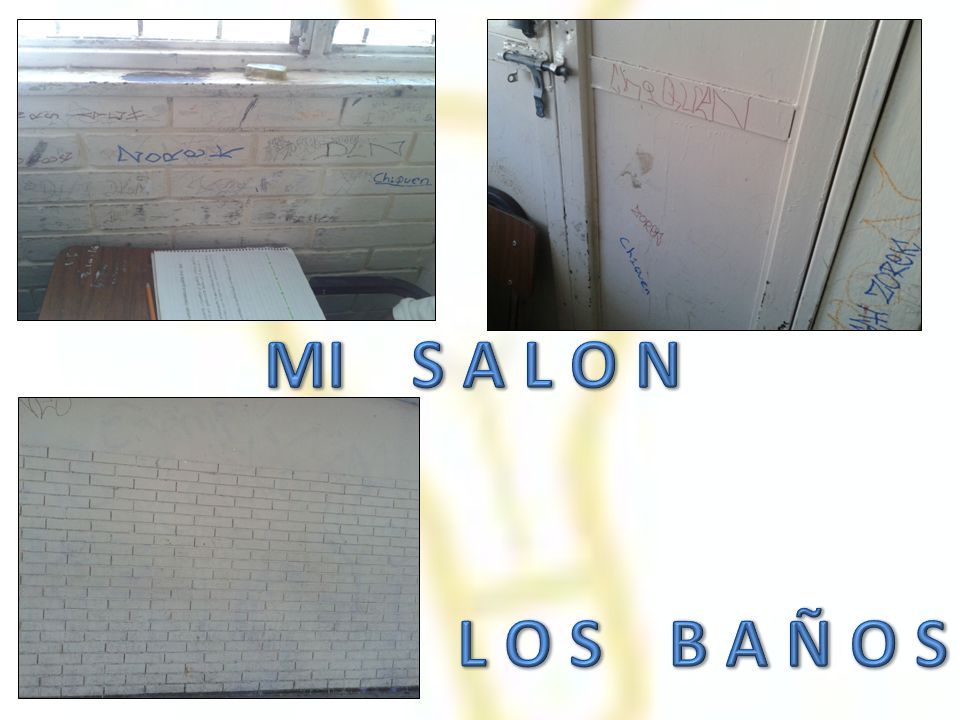 MI S A L O N L O S B A Ñ O S