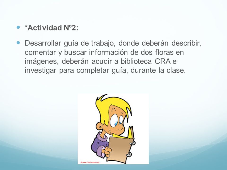 *Actividad Nº2: