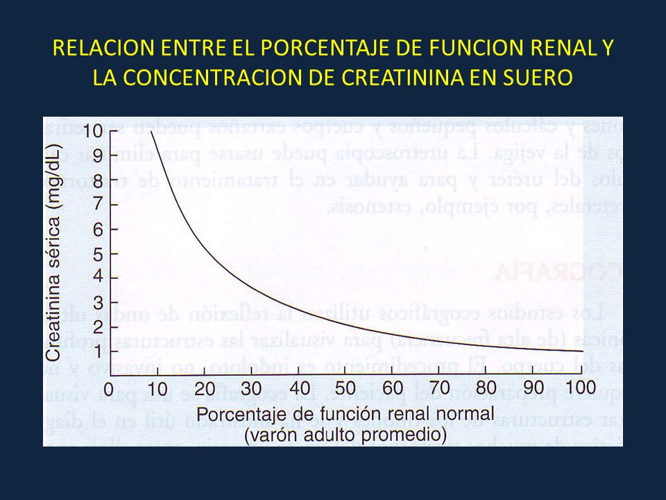RELACION ENTRE EL PORCENTAJE DE FUNCION RENAL Y LA CONCENTRACION DE CREATININA EN SUERO