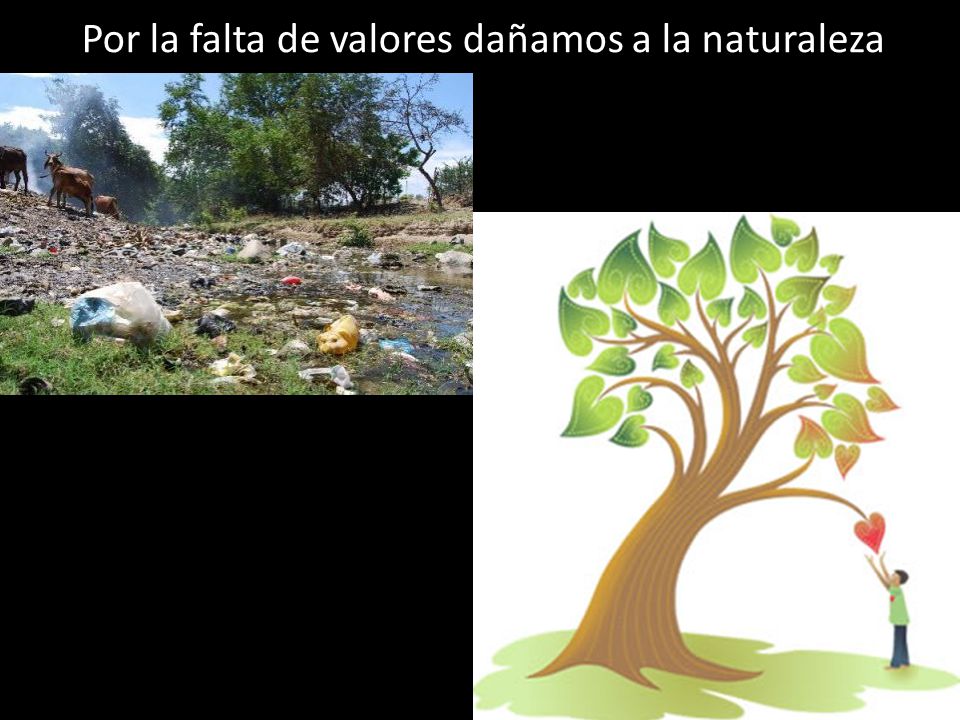 Por la falta de valores dañamos a la naturaleza