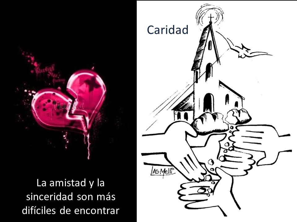 La amistad y la sinceridad son más difíciles de encontrar