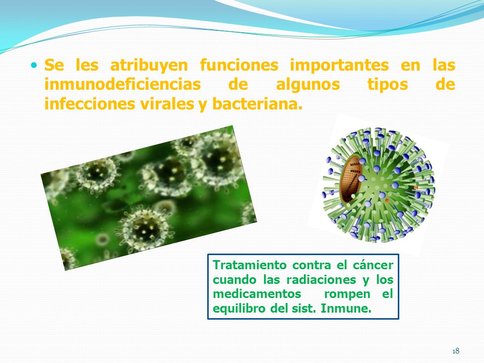 Se les atribuyen funciones importantes en las inmunodeficiencias de algunos tipos de infecciones virales y bacteriana.
