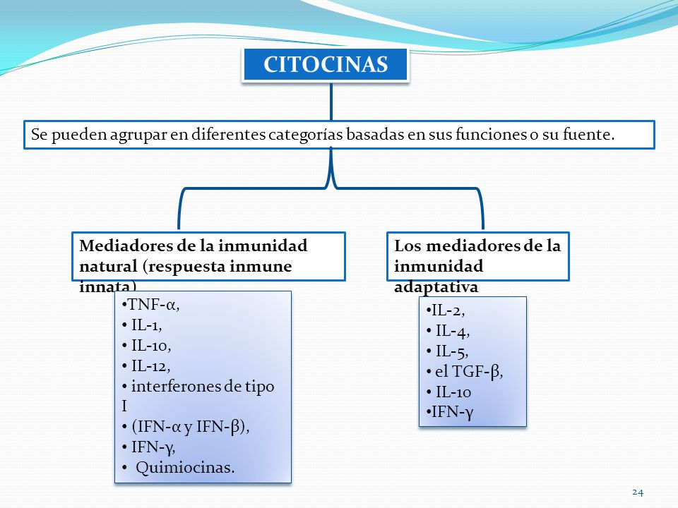 Citocinas Se pueden agrupar en diferentes categorías basadas en sus funciones o su fuente.