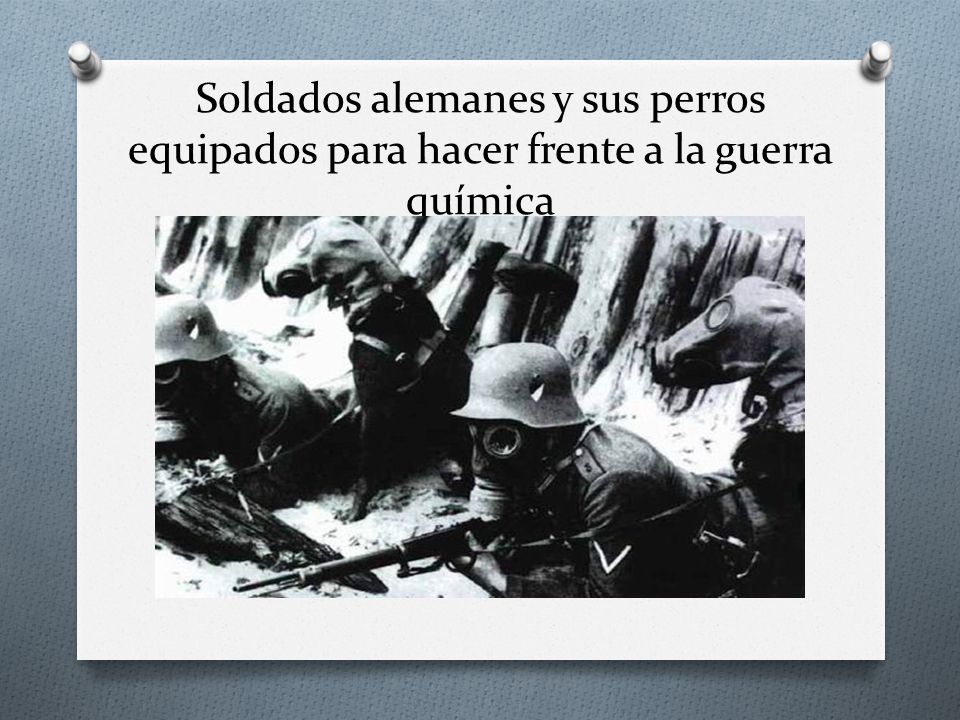 Soldados alemanes y sus perros equipados para hacer frente a la guerra química