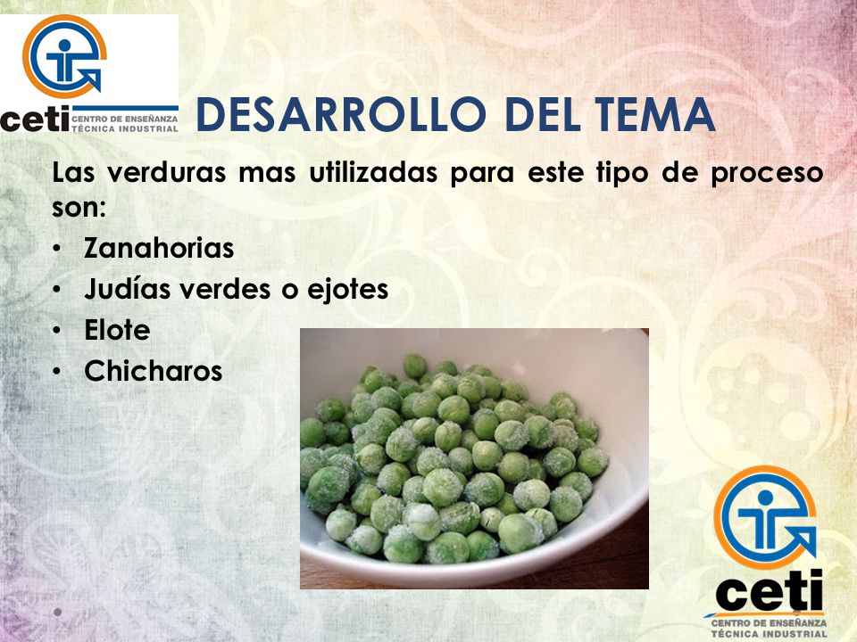 DESARROLLO DEL TEMA Las verduras mas utilizadas para este tipo de proceso son: Zanahorias. Judías verdes o ejotes.