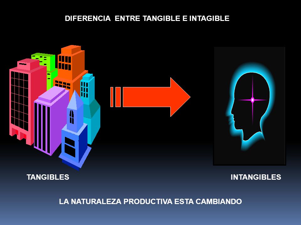 DIFERENCIA ENTRE TANGIBLE E INTAGIBLE