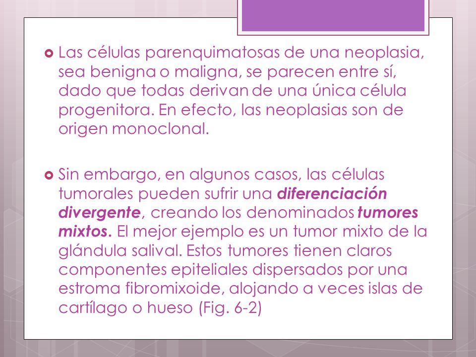Las células parenquimatosas de una neoplasia, sea benigna o maligna, se parecen entre sí, dado que todas derivan de una única célula progenitora. En efecto, las neoplasias son de origen monoclonal.