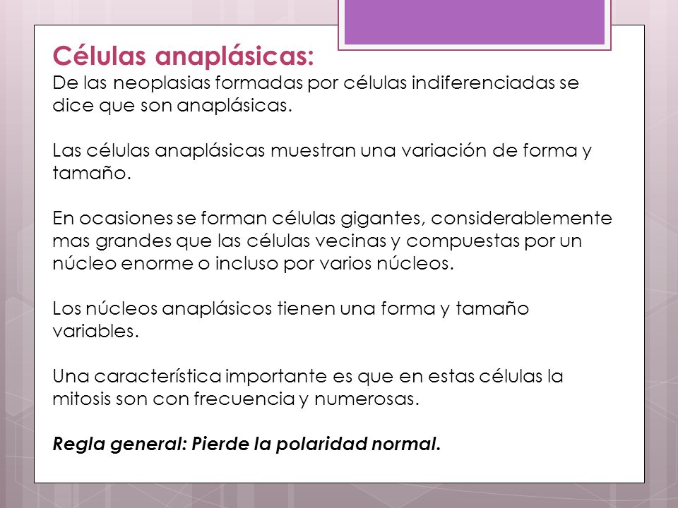 Células anaplásicas: De las neoplasias formadas por células indiferenciadas se dice que son anaplásicas.