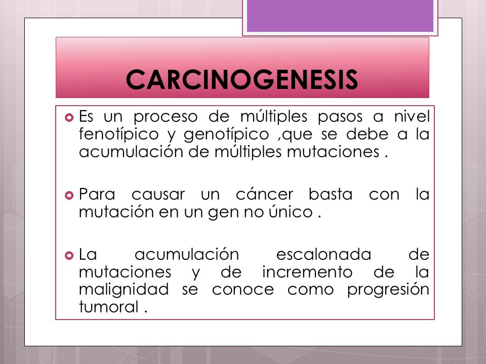CARCINOGENESIS Es un proceso de múltiples pasos a nivel fenotípico y genotípico ,que se debe a la acumulación de múltiples mutaciones .