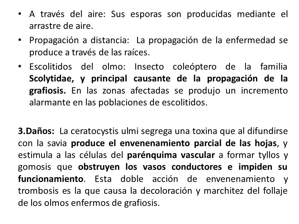 A través del aire: Sus esporas son producidas mediante el arrastre de aire.
