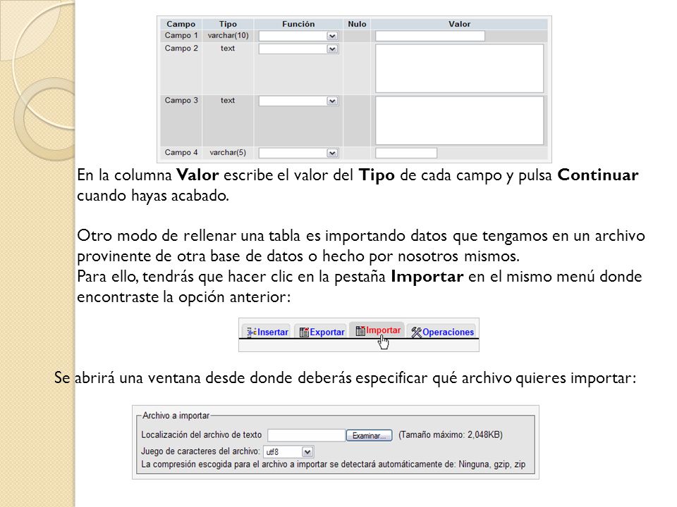 En la columna Valor escribe el valor del Tipo de cada campo y pulsa Continuar