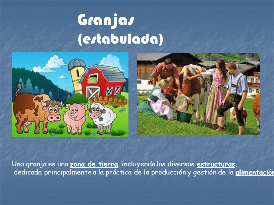 Granjas (estabulada) Una granja es una zona de tierra, incluyendo las diversas estructuras,