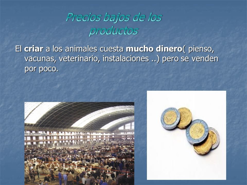 Precios bajos de los productos