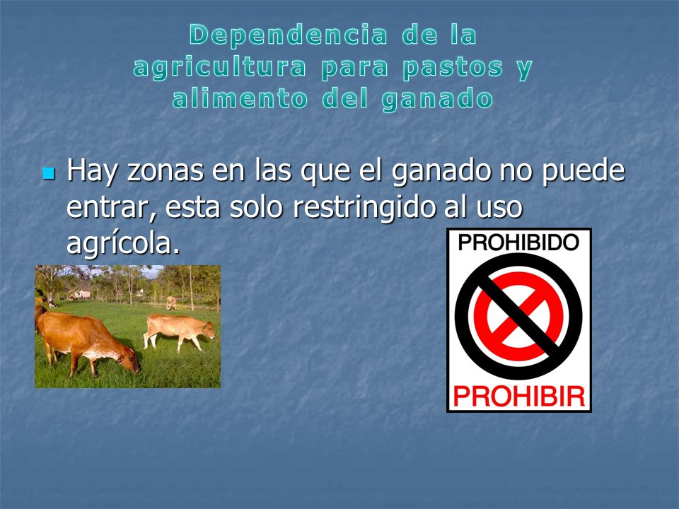 Dependencia de la agricultura para pastos y alimento del ganado