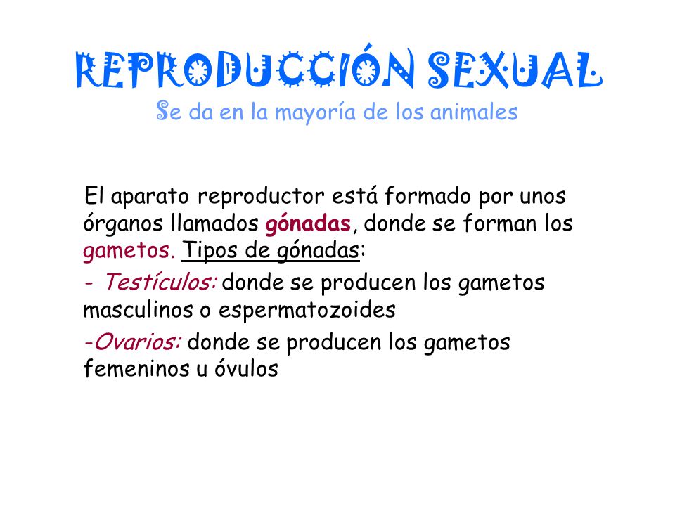REPRODUCCIÓN SEXUAL Se da en la mayoría de los animales