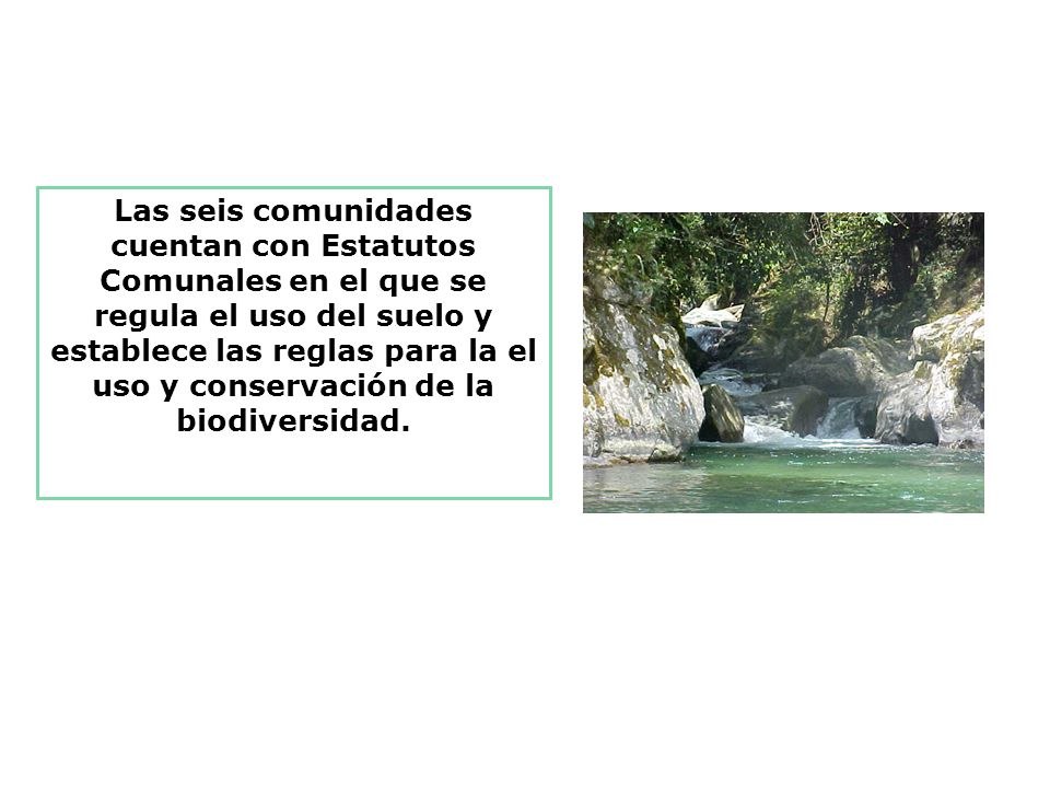 Las seis comunidades cuentan con Estatutos Comunales en el que se regula el uso del suelo y establece las reglas para la el uso y conservación de la biodiversidad.