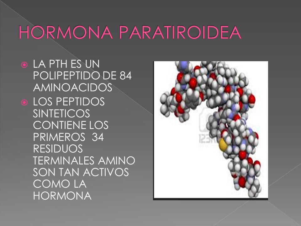 HORMONA PARATIROIDEA LA PTH ES UN POLIPEPTIDO DE 84 AMINOACIDOS