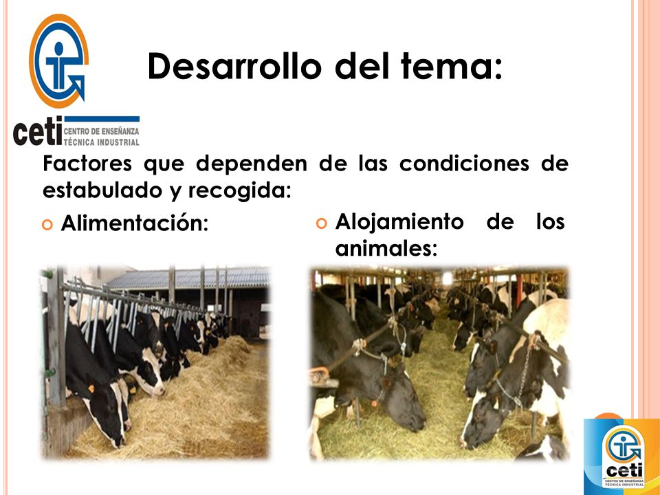Desarrollo del tema: Factores que dependen de las condiciones de estabulado y recogida: Alimentación: