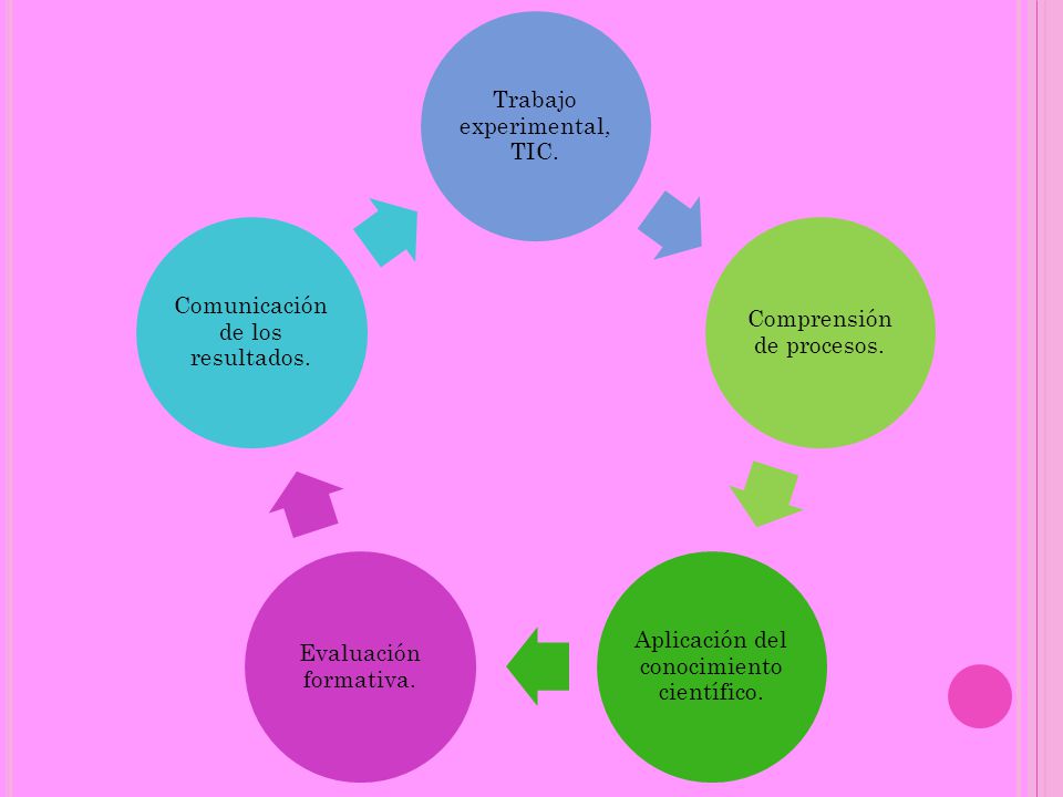 Trabajo experimental, TIC. Comprensión de procesos.