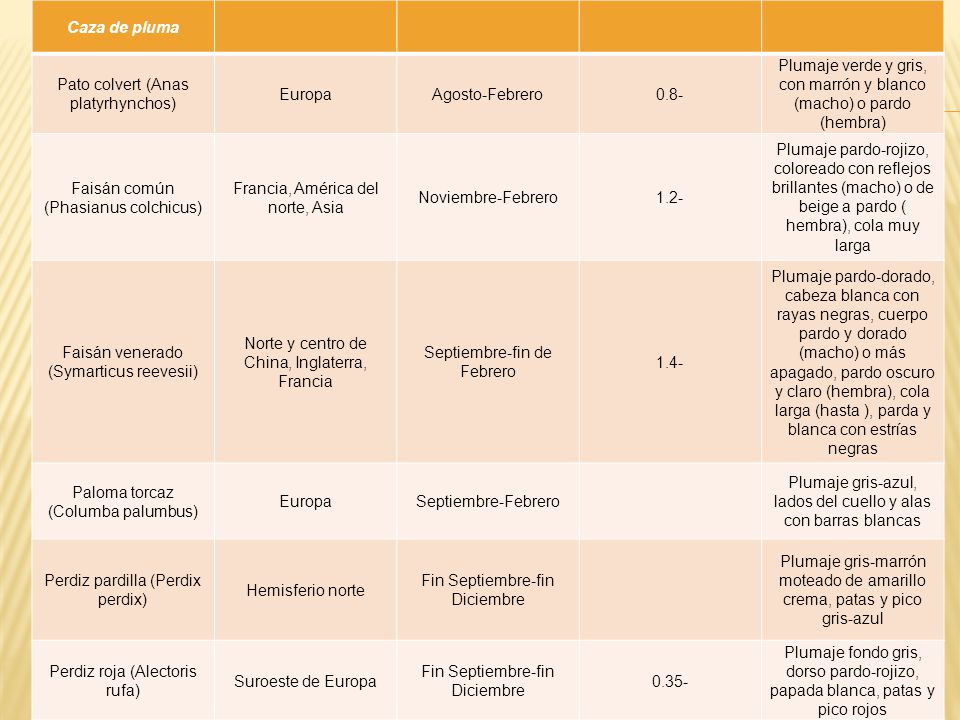 Pato colvert (Anas platyrhynchos) Europa Agosto-Febrero 0.8-