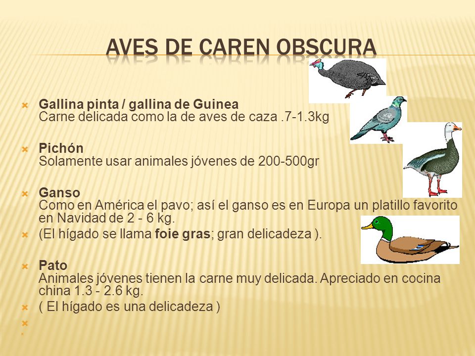 AVES DE CAREN OBSCURA Gallina pinta / gallina de Guinea Carne delicada como la de aves de caza kg.