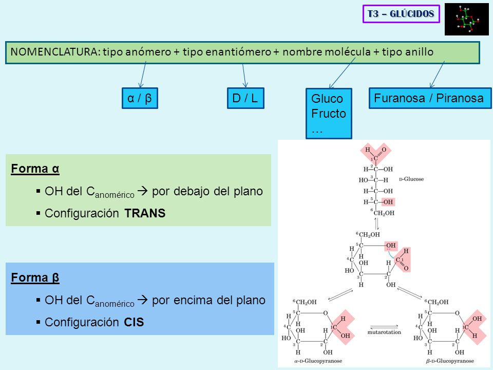 OH del Canomérico  por debajo del plano Configuración TRANS