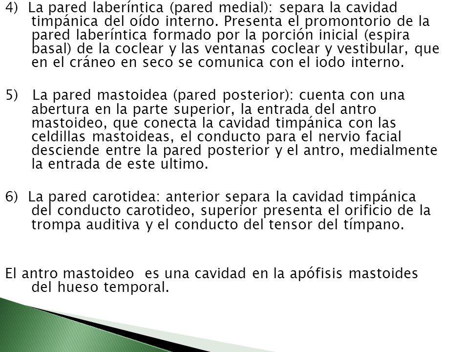 4) La pared laberíntica (pared medial): separa la cavidad timpánica del oído interno. Presenta el promontorio de la pared laberíntica formado por la porción inicial (espira basal) de la coclear y las ventanas coclear y vestibular, que en el cráneo en seco se comunica con el iodo interno.