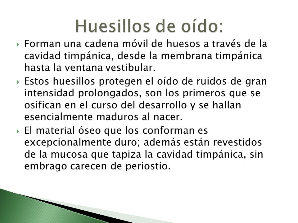 Huesillos de oído: Forman una cadena móvil de huesos a través de la cavidad timpánica, desde la membrana timpánica hasta la ventana vestibular.