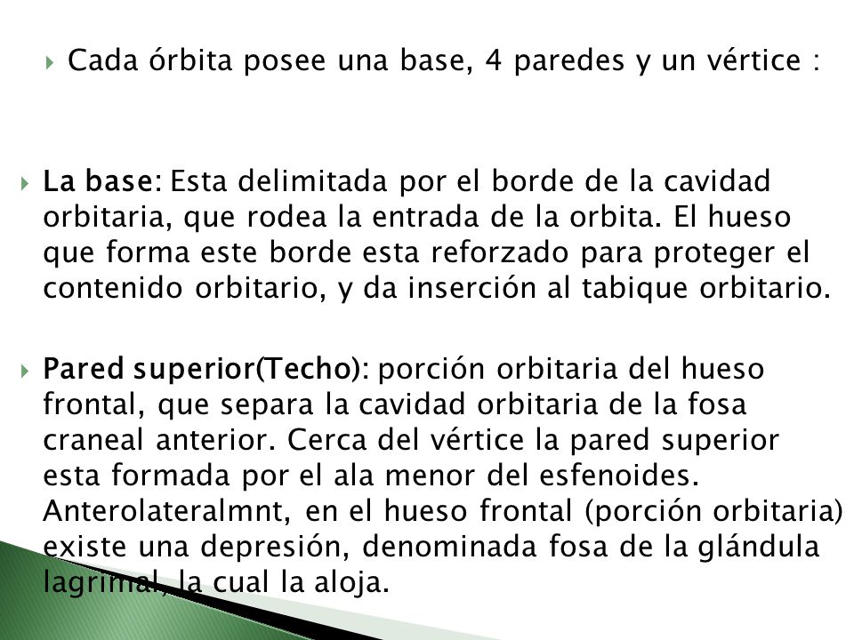 Cada órbita posee una base, 4 paredes y un vértice :
