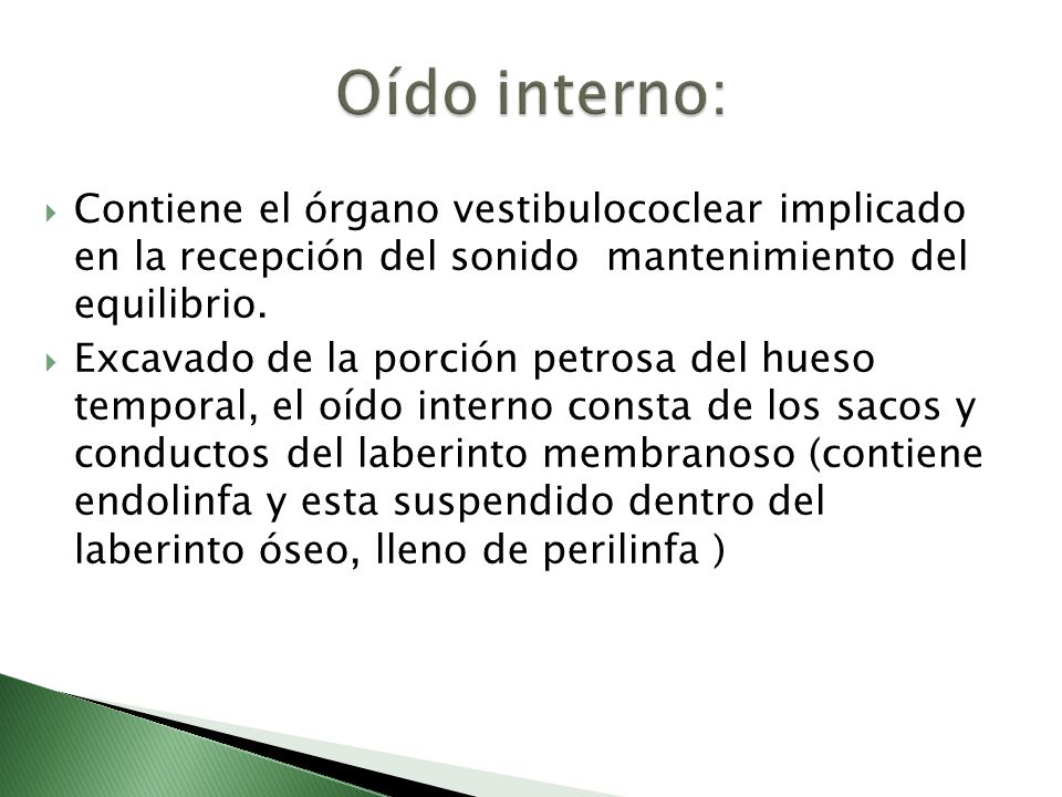 Oído interno: Contiene el órgano vestibulococlear implicado en la recepción del sonido mantenimiento del equilibrio.