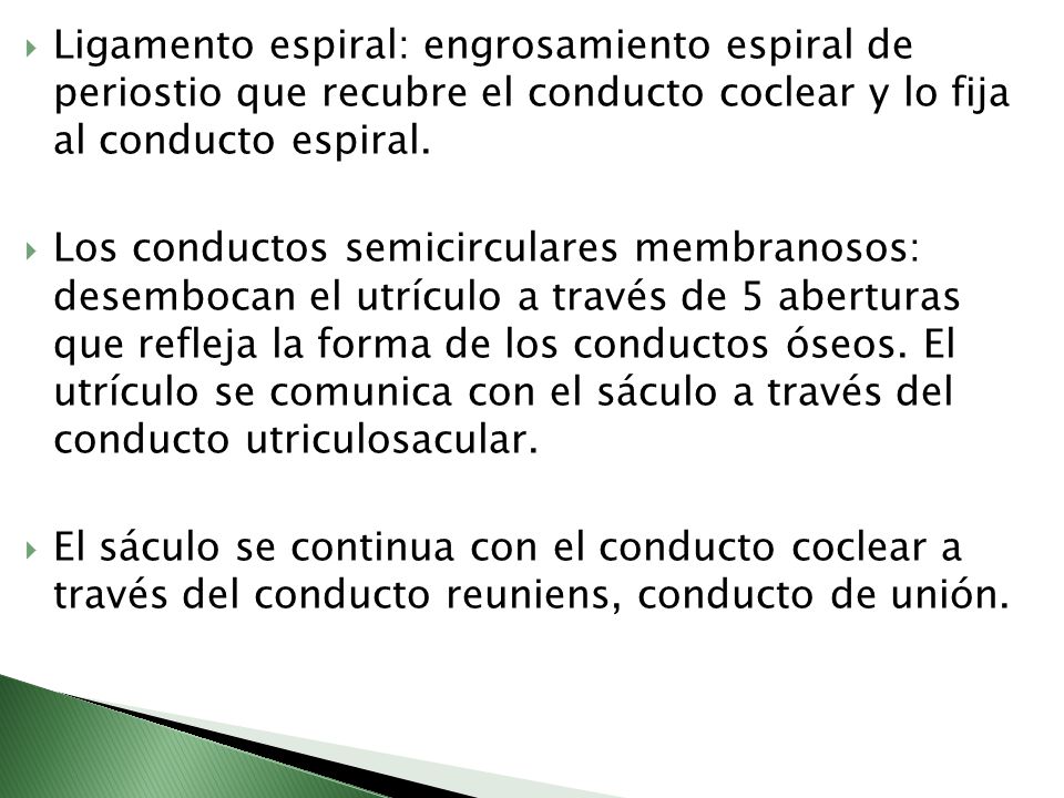 Ligamento espiral: engrosamiento espiral de periostio que recubre el conducto coclear y lo fija al conducto espiral.