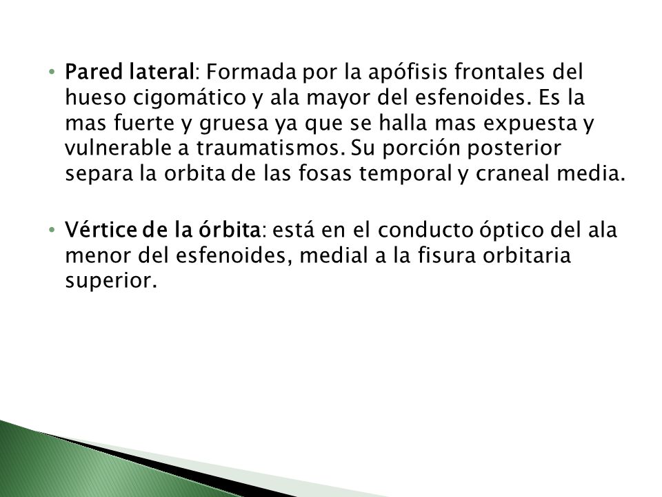 Pared lateral: Formada por la apófisis frontales del hueso cigomático y ala mayor del esfenoides. Es la mas fuerte y gruesa ya que se halla mas expuesta y vulnerable a traumatismos. Su porción posterior separa la orbita de las fosas temporal y craneal media.