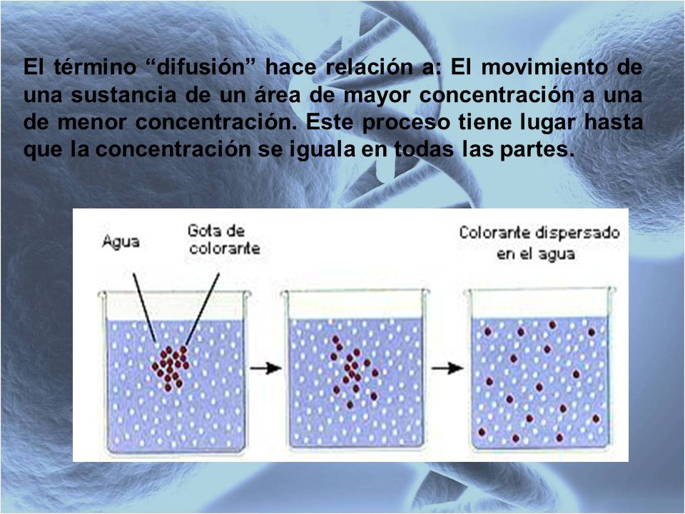 El término difusión hace relación a: El movimiento de una sustancia de un área de mayor concentración a una de menor concentración.