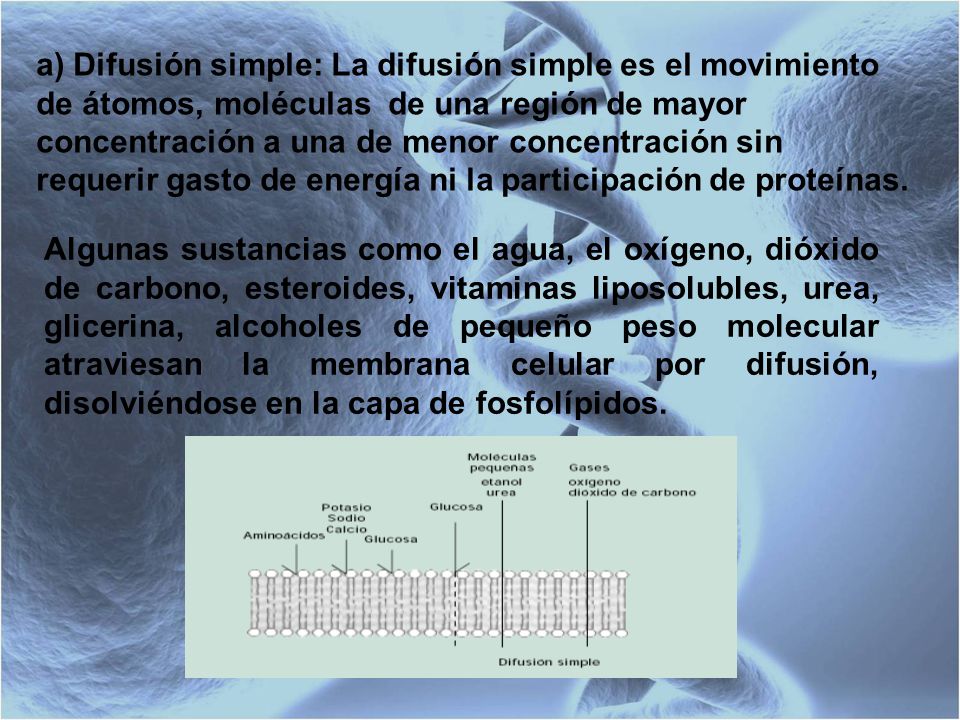 a) Difusión simple: La difusión simple es el movimiento de átomos, moléculas de una región de mayor concentración a una de menor concentración sin requerir gasto de energía ni la participación de proteínas.