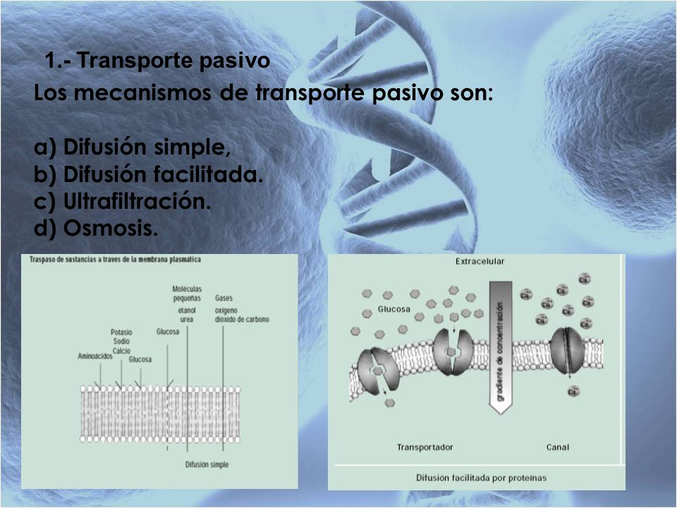 1.- Transporte pasivo Los mecanismos de transporte pasivo son: a) Difusión simple, b) Difusión facilitada.